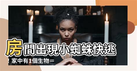 房間出現蜘蛛代表|如何解讀家中小蜘蛛？6大風水妙招公開